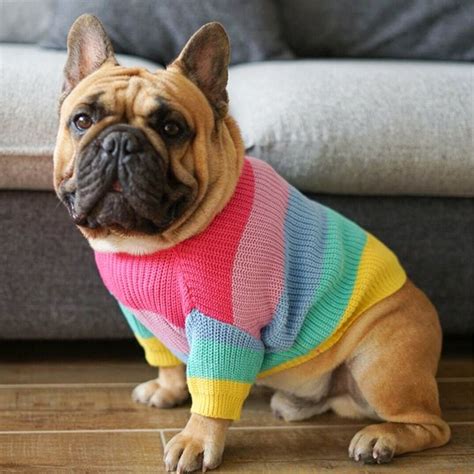 jumpers for french bulldogs uk.